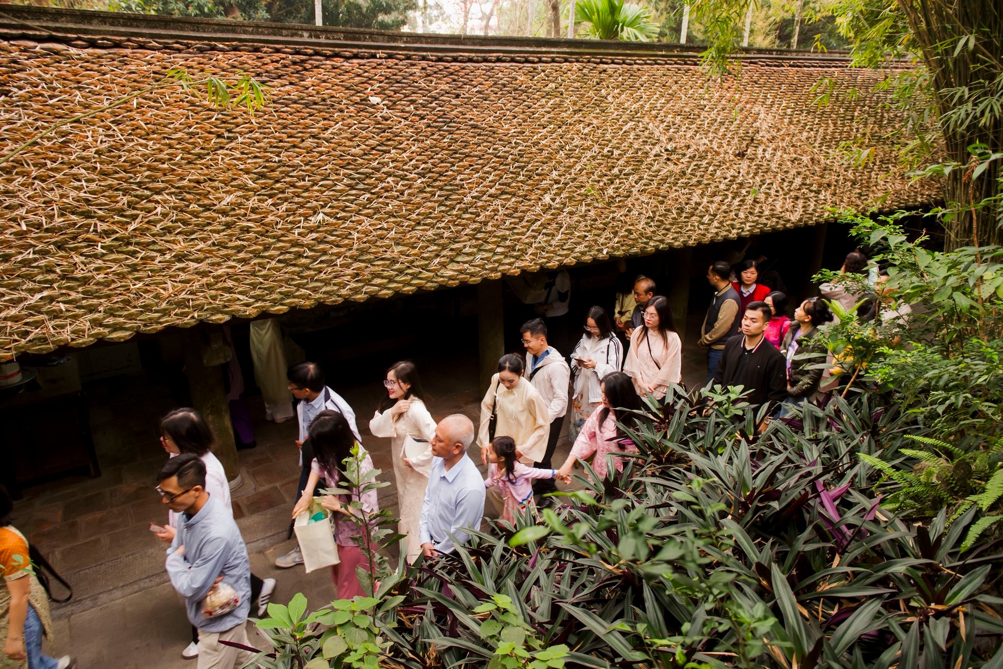 Du Xuân 2026 – Khởi đầu một năm mới an nhiên và gắn kết